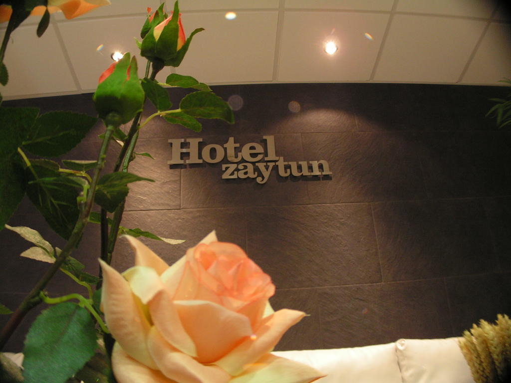 Hotel Zaytun Mequinenza Exteriér fotografie